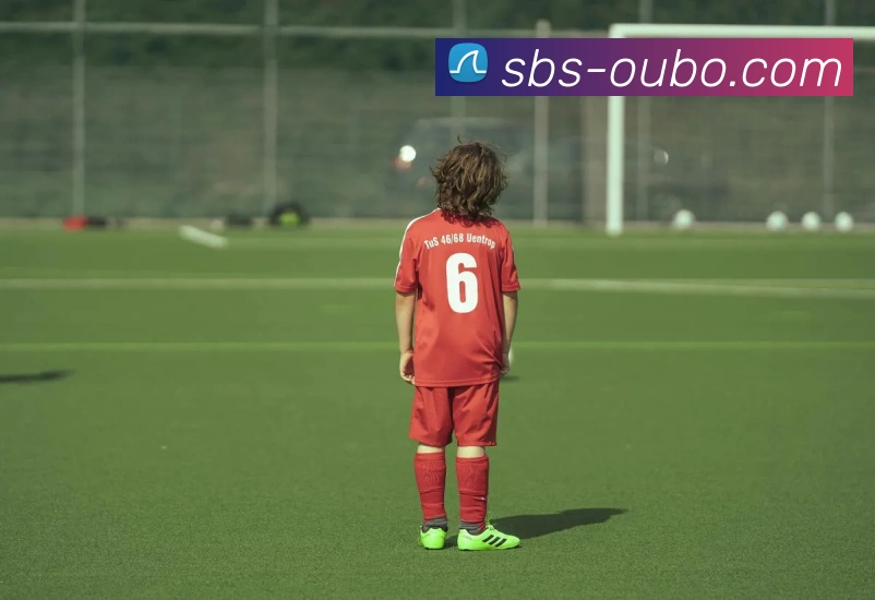 多媒体互动体验